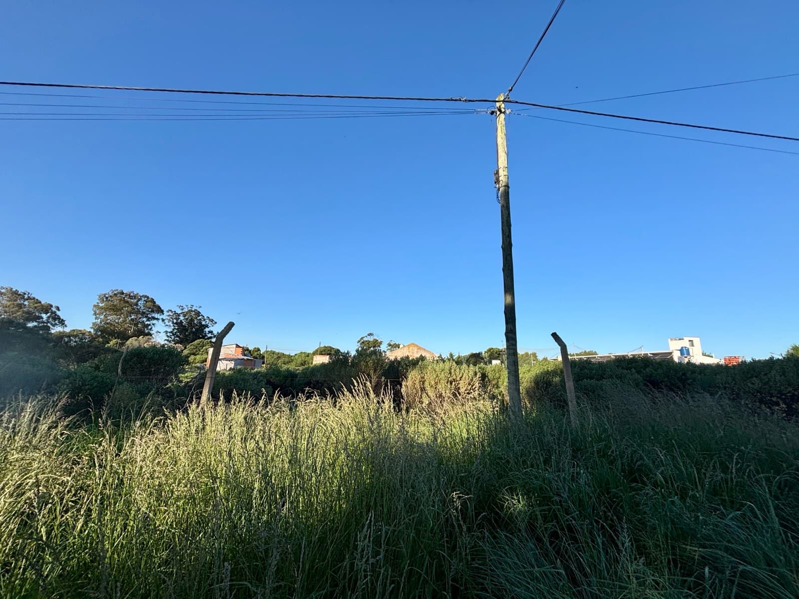 LOTE en FÉLIX U CAMET - Imagen 4