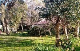 CASONA sobre 2 lotes (504M2) en Barrio Felix Camet - Imagen 2